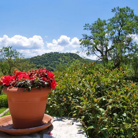 Amygdalies With Fireplace *