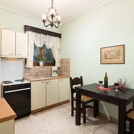 Amygdalies With Fireplace Appartement Karpenísion