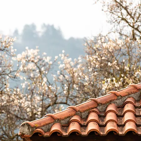 Amygdalies With Fireplace Karpenísion